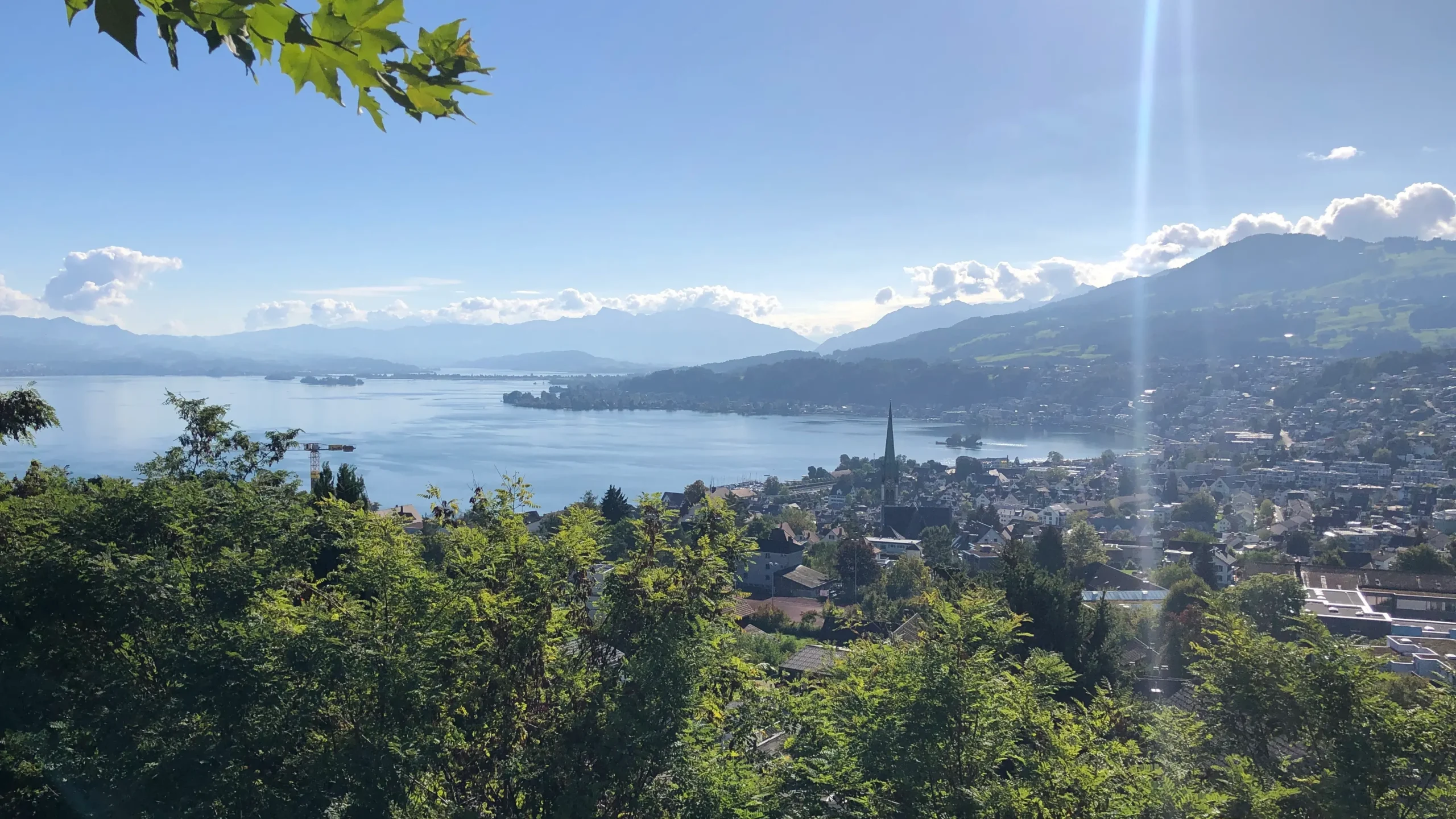 Grünliberale Richterswil